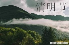 2024年清明節(jié)好詞佳句描寫清明節(jié)的詩詞