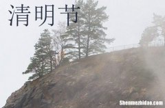 2024年清明節(jié)溫馨問候短信清明節(jié)問候祝福語大全