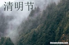 祝福語大全：2024年清明節(jié)微信創(chuàng)意祝福文案說說清明節(jié)微信朋友圈創(chuàng)意文案