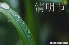 祝福語：2024年清明節(jié)簡短祝福語優(yōu)美文案清明節(jié)祝福語大全簡短贊美