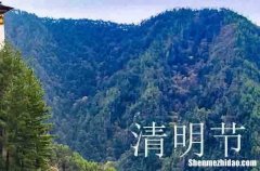 2024年清明節(jié)愉快好友問(wèn)候短信清明節(jié)問(wèn)候語(yǔ)短信摘錄