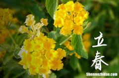 立春的寓意和象征 立春的風(fēng)俗及飲食