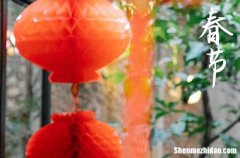 春節(jié)在什么時候2024年 春節(jié)是就診的吉日嗎2024