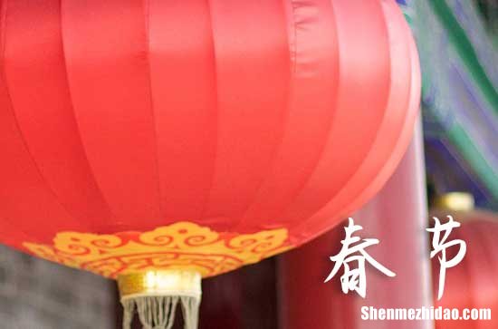 春節(jié)是幾月幾日2024年 2024春節(jié)適合買寵物嗎