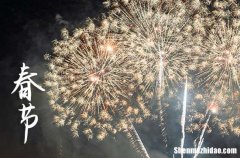 2024年春節(jié)是星期幾 2024年春節(jié)能合帳嗎