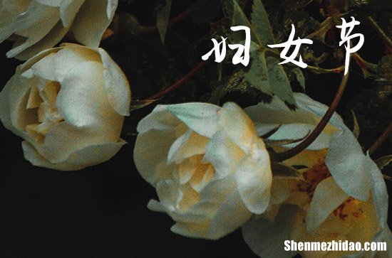 2024三八妇女节送花卡片祝福语 3.8女神节送花卡片祝福贺词