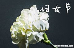 2024三八婦女節(jié)祝福語溫暖三八婦女節(jié)祝福語簡短暖心