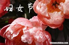 2024三八婦女節(jié)祝福語簡短2024婦女節(jié)祝福語集錦