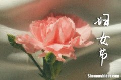 2024三八婦女節(jié)祝福語創(chuàng)意 2024年創(chuàng)意婦女節(jié)祝福語