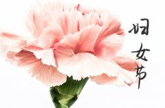 2024三八婦女節(jié)祝福語給朋友給女性朋友的3.8婦女節(jié)祝福句子