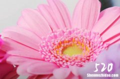 2024年七夕情人節(jié)依戀祝福短信七夕情人節(jié)浪漫短句