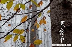 寒食節(jié)又被稱(chēng)為什么節(jié)2024 寒食節(jié)的來(lái)歷