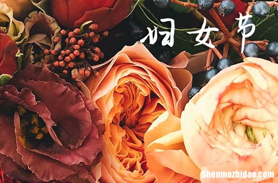 2024妇女节祝福微信祝福妇女节的优美句子简短