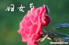 2024婦女節(jié)微信三八婦女節(jié)朋友圈說(shuō)說(shuō)祝福語(yǔ)