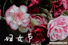 祝福語(yǔ)大全：溫馨的2024婦女節(jié)祝福文案 3.8婦女節(jié)祝福語(yǔ)簡(jiǎn)短優(yōu)美