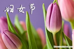 2024三八婦女節(jié)送什么花比較好 2024三八婦女節(jié)適合送什么鮮花