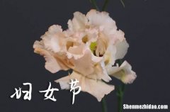 2024三八婦女節(jié)送什么花給媽媽 2024婦女節(jié)要為媽媽做什么