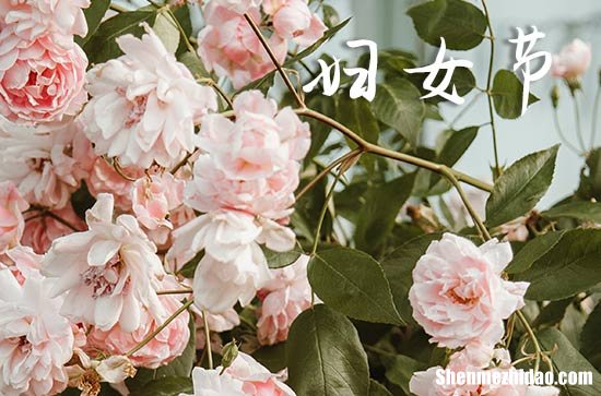 2024妇女节祝福语大全三八妇女节贺卡祝福语