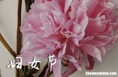 2024婦女節(jié)祝福語(yǔ)婦女節(jié)祝福語(yǔ)大全2024年