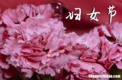 2024婦女節(jié)祝福語(yǔ)送給媽媽三八婦女節(jié)給媽媽的祝福語(yǔ)簡(jiǎn)短