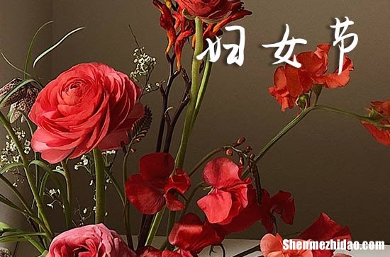 2024妇女节短信祝福妇女节短信祝福语简短优美