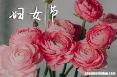 三八婦女節(jié)快樂祝福語2024婦女節(jié)祝福語句大全