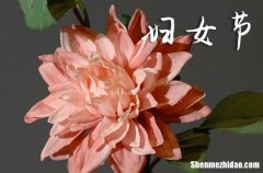 三八婦女節(jié)祝福語2024祝女神的祝福語大全