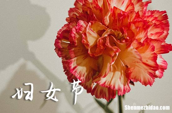2024三八婦女節(jié)祝福語(yǔ)三八節(jié)祝福語(yǔ)漂亮簡(jiǎn)短