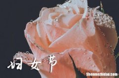 38婦女節(jié)祝福媽媽婦女節(jié)快樂祝福語大全2024