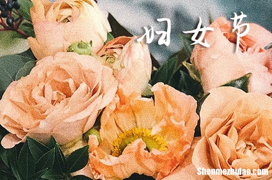 2024送给妈妈的三八妇女节祝福语 祝老妈节日快乐的祝福词