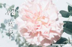 2024婦女節(jié)經(jīng)典祝福語最經(jīng)典的婦女節(jié)祝福語