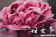 祝老婆三八婦女節(jié)快樂祝福語2024給老婆的浪漫祝福語