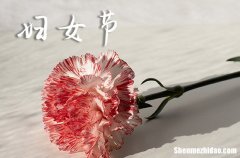 2024年給老婆的婦女節(jié)祝福語(yǔ)給老婆的浪漫祝福語(yǔ)