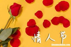 2024年情人節(jié)短信祝福語 情人節(jié)送給男朋友的短信大全