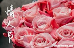 祝福語大全：2024年網(wǎng)絡(luò)情人節(jié)祝福語文案