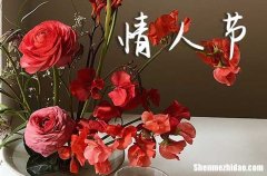 2024年情人節(jié)表白微信情人節(jié)告白短情話大全