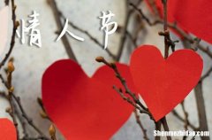 2.14情人節(jié)祝福語2024情人節(jié)祝福語最溫馨的話