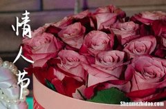 情人節(jié)送花祝福語2024年情人節(jié)送花情話最浪漫短句