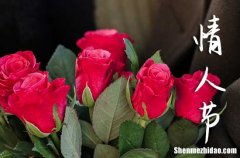 情人節(jié)祝福語2024情人節(jié)祝福語最溫馨的話