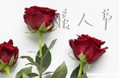 2024年2.14情人節(jié)甜蜜祝福語給情人節(jié)祝福語短句