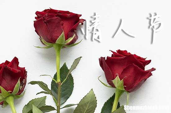 2024年2.14情人節(jié)甜蜜祝福語給情人節(jié)祝福語短句
