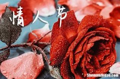 2024.2.14情人節(jié)qq空間祝福語短信情人節(jié)qq情侶空間祝福語有哪些