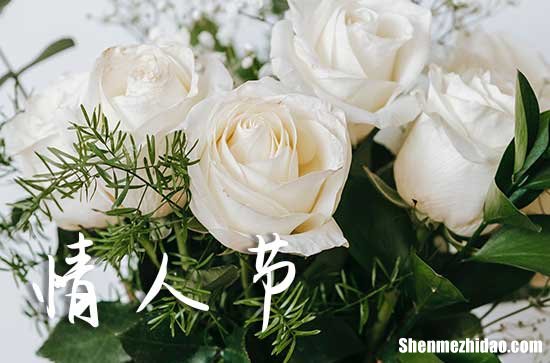 情人节祝福语大全2024年 情人节最暖心短句