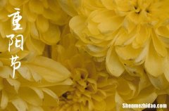 2024年重陽(yáng)節(jié)微信祝福語(yǔ)重陽(yáng)節(jié)發(fā)朋友圈的短句