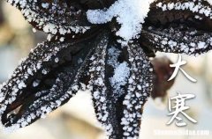 大寒文案短句干凈治愈