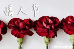 2.14情人節(jié)祝福語大全2024 靜靜地我來祝福你