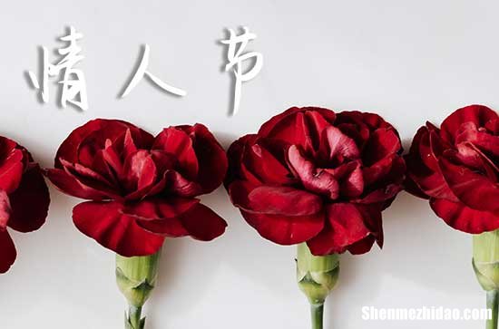 2.14情人节祝福语大全2024 静静地我来祝福你