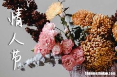 2024情人節(jié)給男朋友的感人表白祝福