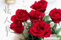 2024.2.14情人節(jié)浪漫祝福語 將我愛意傳予你