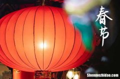 2024年春節(jié)拜年短信祝福語(yǔ)大全春節(jié)拜年賀詞